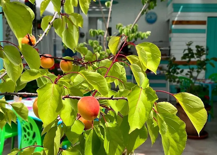 D'aragona Гостевой дом 4*