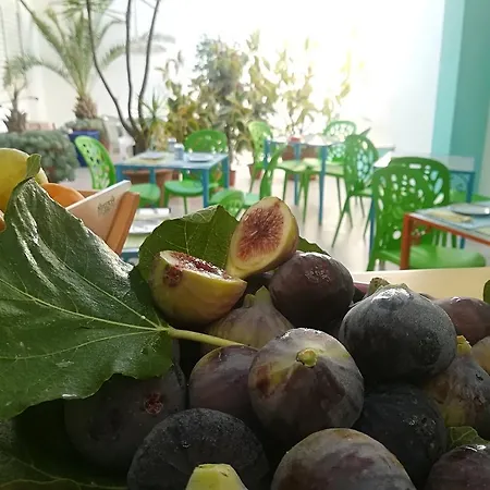 D'aragona בית הארחה