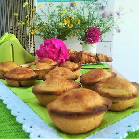 بيت ضيافة D'aragona